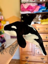 Image 1 of Big Orca Plush