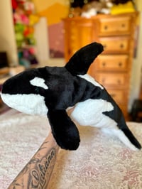 Image 3 of Big Orca Plush