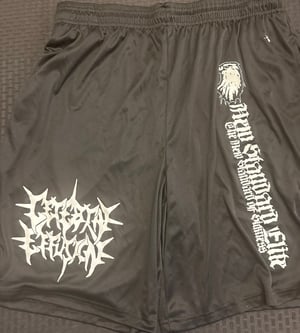 Image of NEW NSE MOSH SHORTS (VARIOUS BANDS)