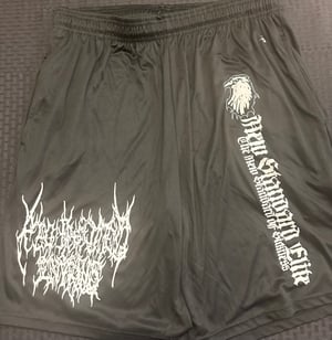 Image of NEW NSE MOSH SHORTS (VARIOUS BANDS)