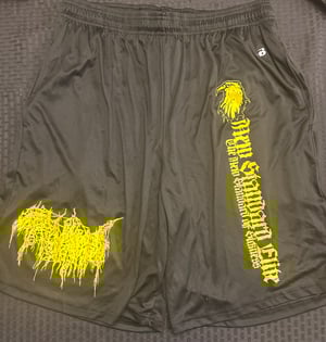 Image of NEW NSE MOSH SHORTS (VARIOUS BANDS)