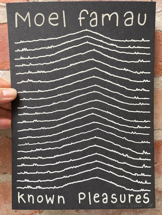 Image of Known Pleasures 4