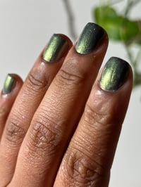 Image 13 of Everybody Knows My Name