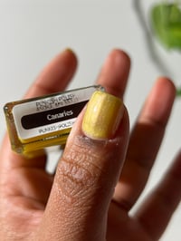 Image 11 of Canaries