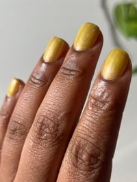 Image 12 of Canaries