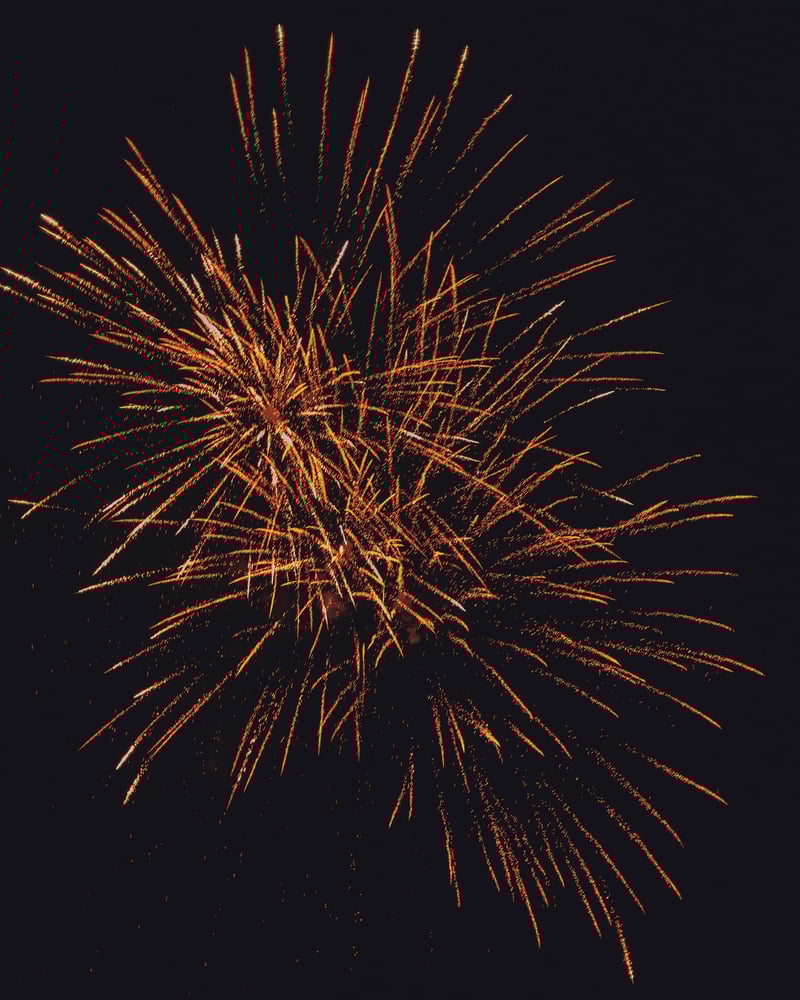Image of palm tree fireworks