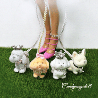 Image 2 of CANDY PRINCESS MINI POCKET PUPPY 