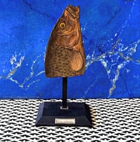 Silhouette de carpe ordinaire 