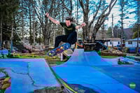 Image 2 of Jungle Board