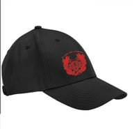 Image 1 of Black EarthAware cap