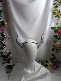 Image 3 of Dragon Horns | Grey | Medium
