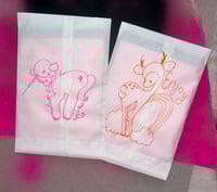 Image 1 of Mystery Bag ^-*
