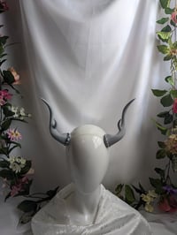 Image 2 of  Antlers |Grey| Large