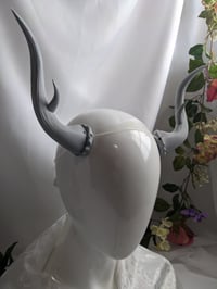 Image 3 of  Antlers |Grey| Large