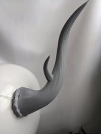 Image 4 of  Antlers |Grey| Large