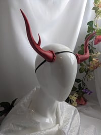 Image 3 of Antlers |Blood Red | Large