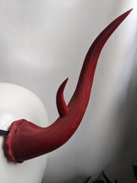 Image 4 of Antlers |Blood Red | Large