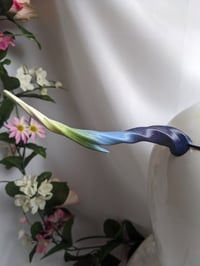 Image 1 of Harpoon Horn | Rainbow