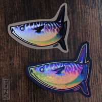 Image 3 of Slender Sunfish - Stickers