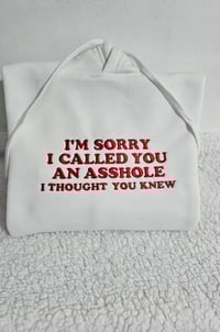 I'm sorry I called you an asshole hoodie