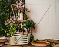 Image 8 of Spring at Pause Button Photography 🌿 Where your everyday moments become forever