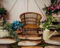 Image 10 of Spring at Pause Button Photography 🌿 Where your everyday moments become forever