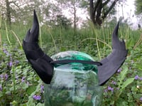 Image 8 of (PREORDER) Black Dragon Horns | Large