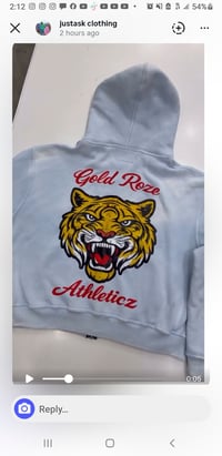 Image 3 of Gold Roze Athleticz Hoodies -Faded baby blue