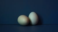 Image 2 of Eggs in Blue | FrameTV Digital Art Collection