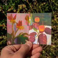 Image 2 of Plant Blindness - Claire Elliott