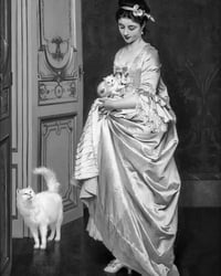 MONOGURUI y-shirt(hooded): (IMPOSSIBLE IS NOTHING)