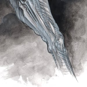 Yosemite Nightstrider - Limited Edition - 13 PRINTS ONLY. 