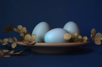 Eggs and Flowers No. 3: Eggs in Blue