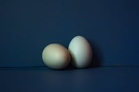 Eggs No. 6:  Eggs in Blue