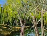 River Gums