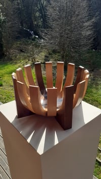 Image 1 of Corolle - Chêne fumé et Hêtre