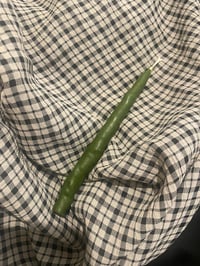 Image 2 of long taper candle {x1}