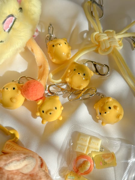 Image of jake keychain