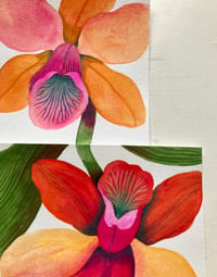 Image 4 of Orchidées