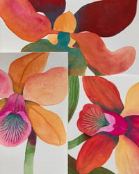 Image 1 of Orchidées