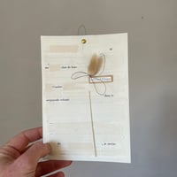 Image 2 of Crépuscule velouté 