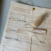 Image 4 of Crépuscule velouté 