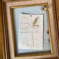 Image 1 of Crépuscule velouté 