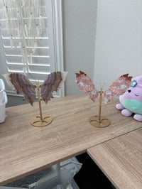 Lani_babyyy BASKET 2