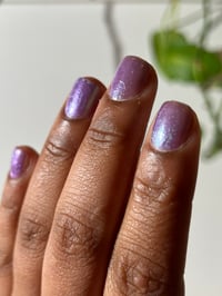 Image 12 of Your Heart Is a Muscle the Size of Your Fist