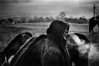 Image 1 of Simon Vansteenwinckel - Aux Ombres 11