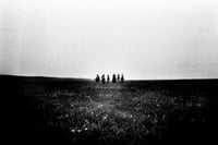 Image 1 of Simon Vansteenwinckel - Aux Ombres 12