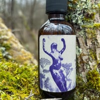 Image 2 of Wild Rosehip Infused Oil