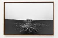 Image 2 of Simon Vansteenwinckel - Aux Ombres 12