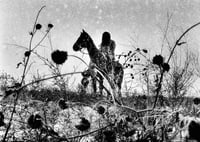 Image 1 of Simon Vansteenwinckel - Aux Ombres 16